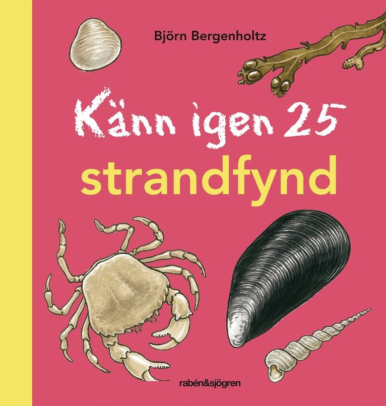 Björn Bergenholtz - Känn igen 25 strandfynd, Inbunden