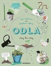 Odla : steg för steg
