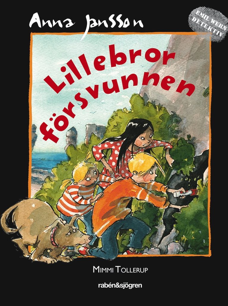 Anna Jansson - Lillebror försvunnen, E-bok