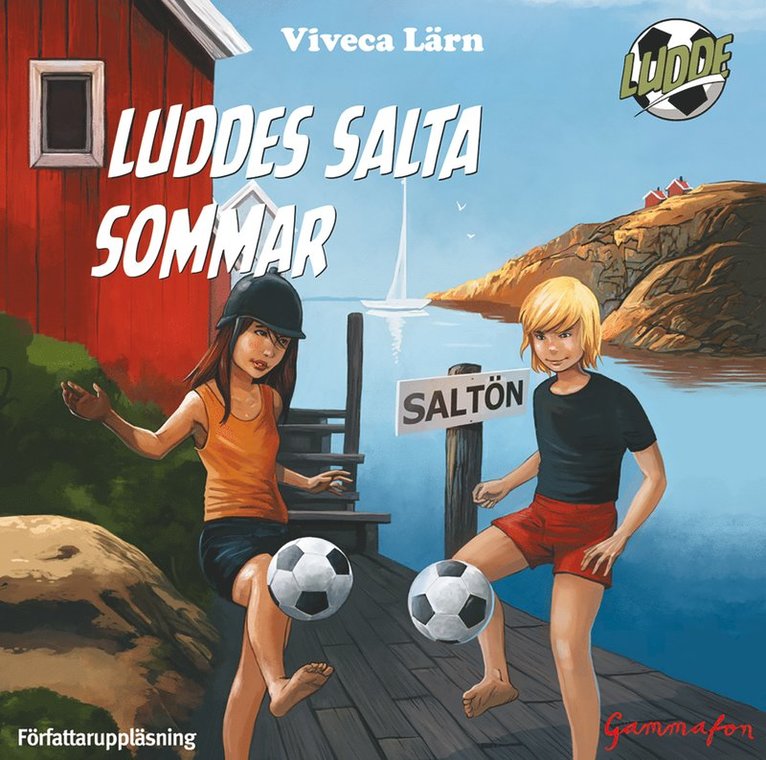 Viveca Lärn - Luddes salta sommar, Ljudbok