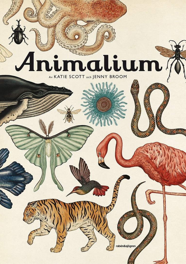 Jenny Broom - Animalium, Inbunden