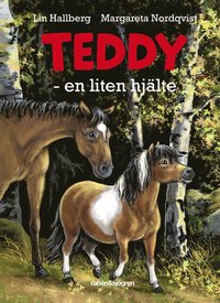 e-Bok Teddy  en liten hjälte