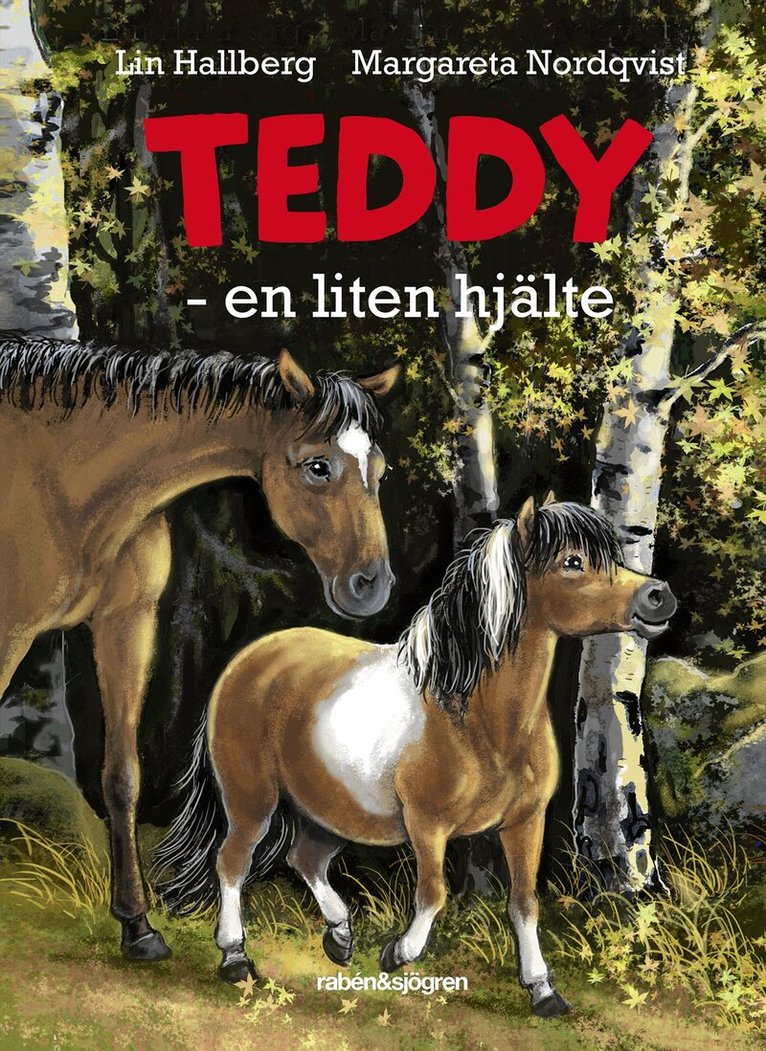 Lin Hallberg - Teddy - en liten hjälte, Kartonnage
