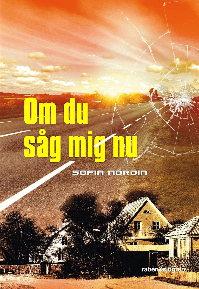 Sofia Nordin - Om du såg mig nu, E-bok
