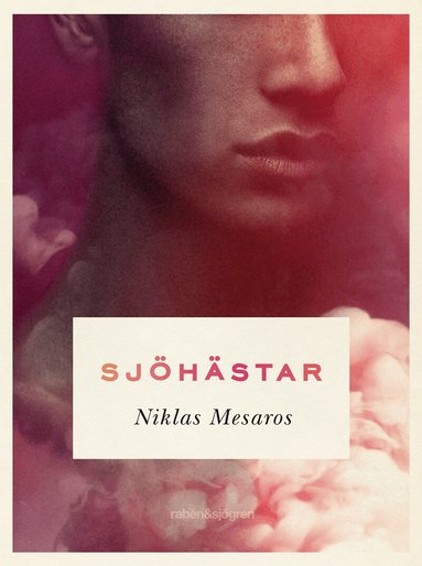 Niklas Mesaros - Sjöhästar, E-bok