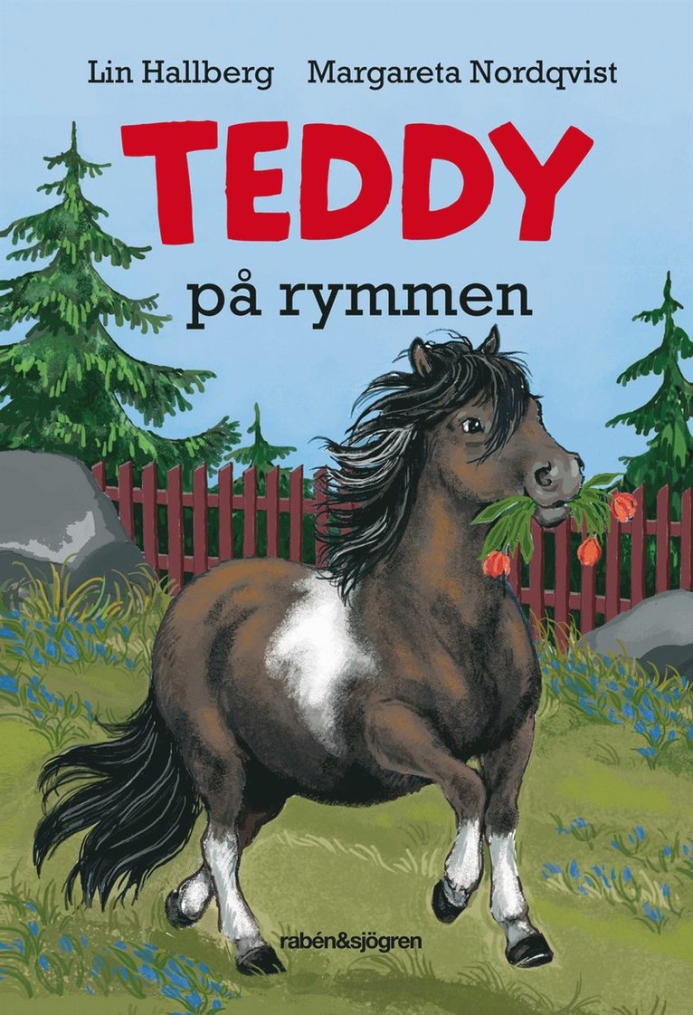 Lin Hallberg - Teddy på rymmen, E-bok