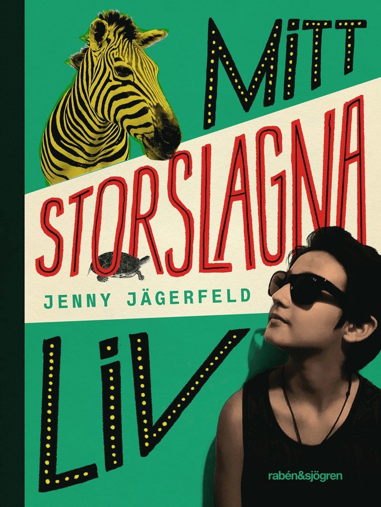 Jenny Jägerfeld - Mitt storslagna liv, E-bok