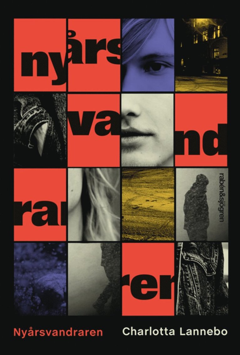 Charlotta Lannebo - Nyårsvandraren, E-bok
