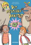 Det mystiska paketet