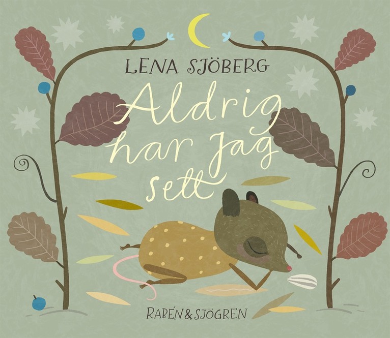 Lena Sjöberg - Aldrig har jag sett, E-bok