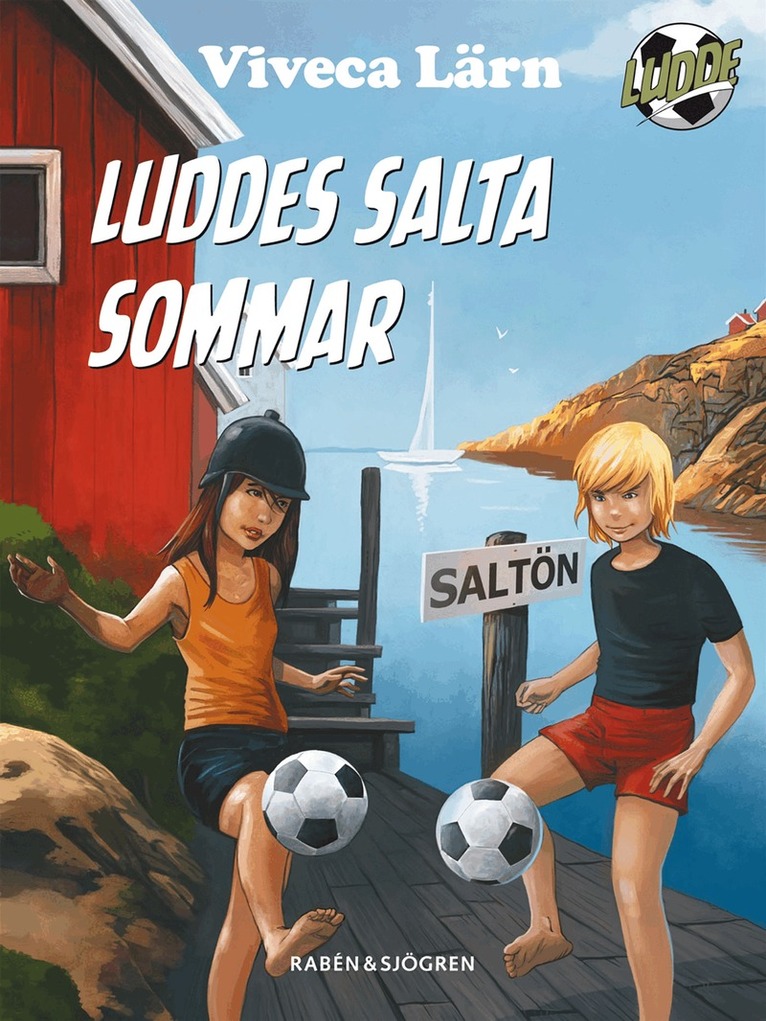Viveca Lärn - Luddes salta sommar, E-bok