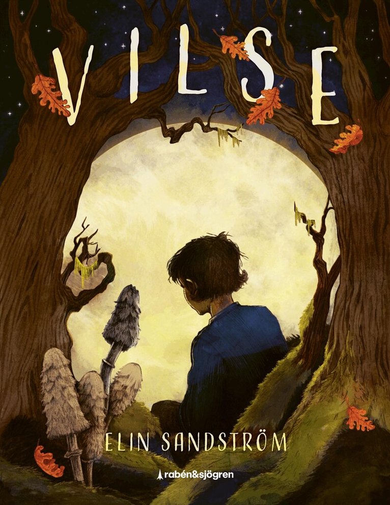 Elin Sandström - Vilse, E-bok