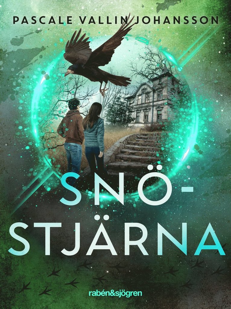 Pascale Vallin Johansson - Snöstjärna, E-bok