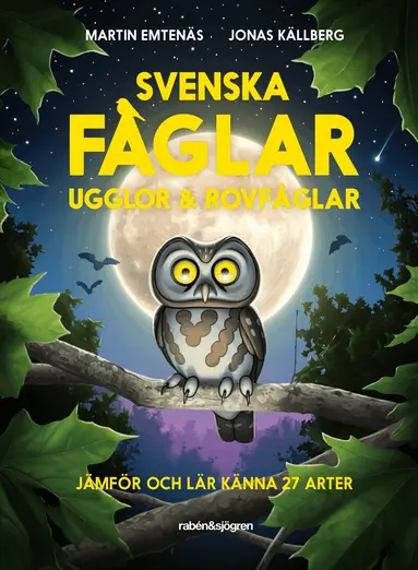 Martin Emtenäs - Svenska fåglar : ugglor och rovfåglar : jämför och lär känna 29 arter, E-bok