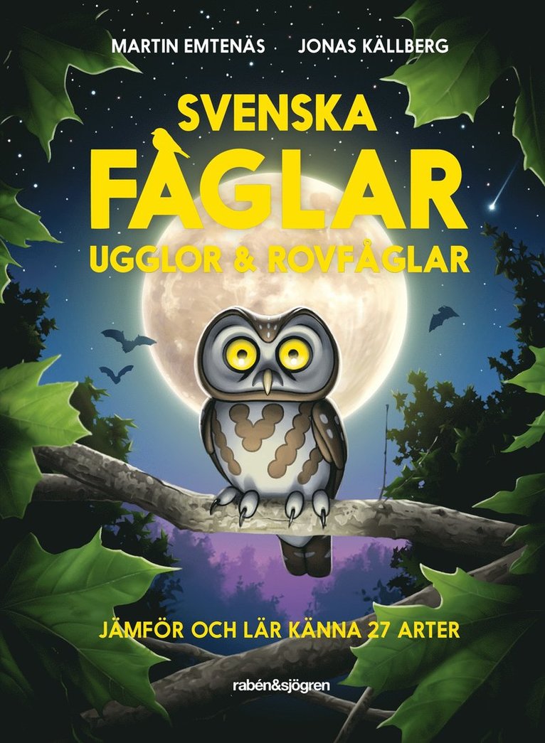 Martin Emtenäs - Svenska fåglar : ugglor och rovfåglar : jämför och lär känna 29 arter, E-bok