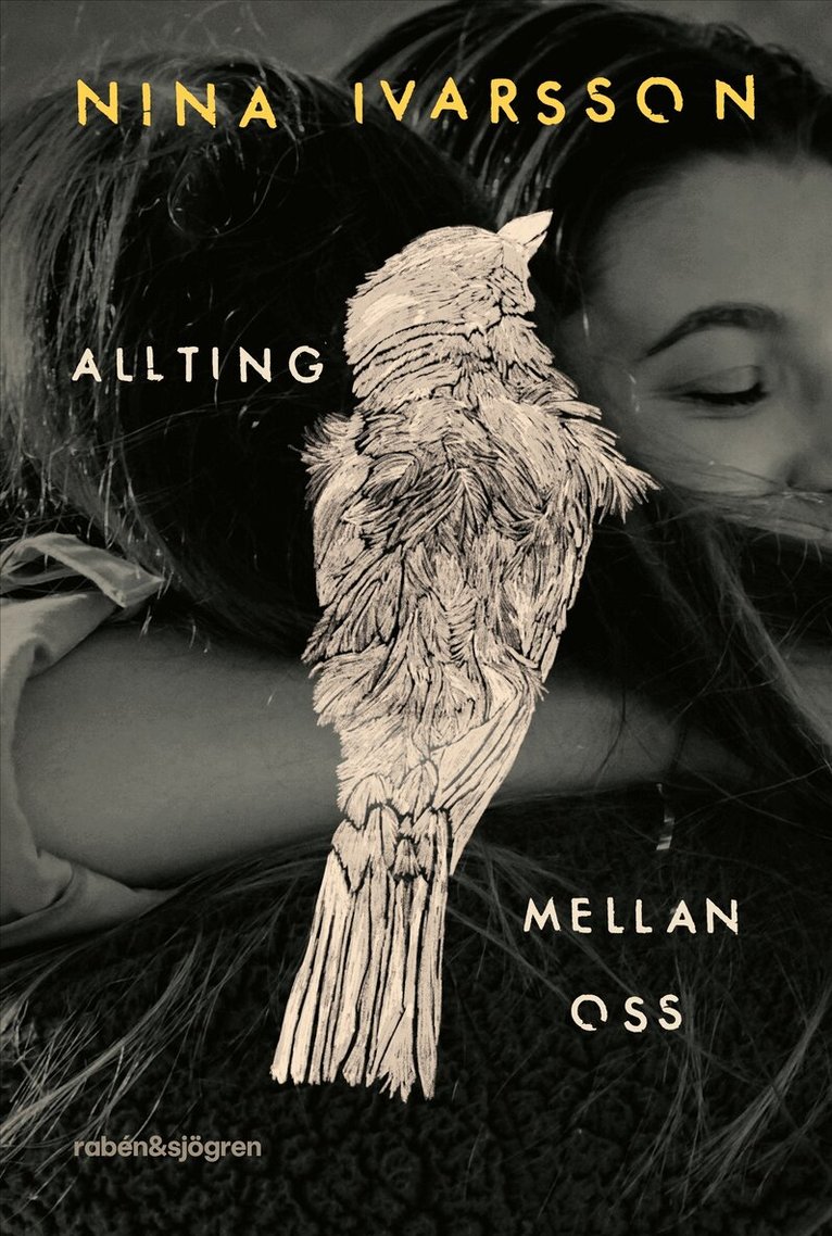 Nina Ivarsson - Allting mellan oss, E-bok