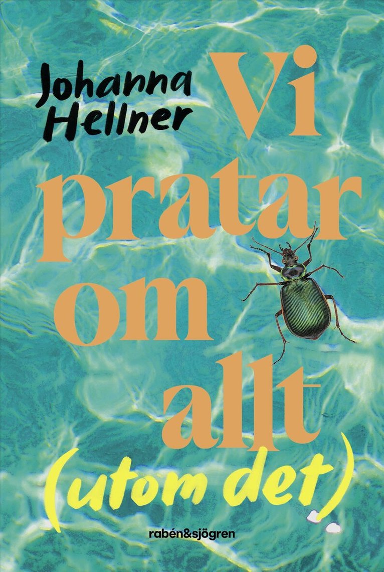 Johanna Hellner - Vi pratar om allt (utom det), E-bok