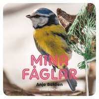 e-Bok Mina fåglar <br />                        E bok