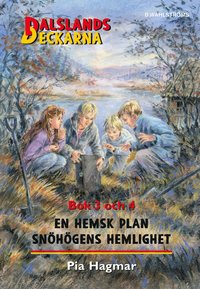 e-Bok En hemsk plan   Snöhögens hemlighet