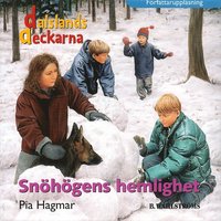 e-Bok Snöhögens hemlighet