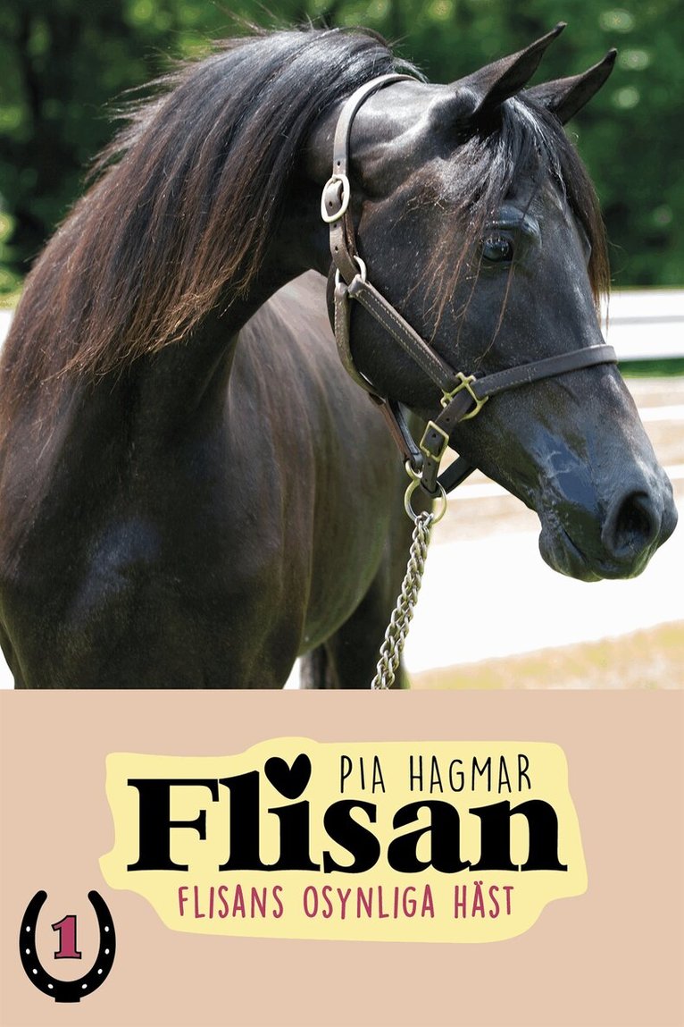 Pia Hagmar - Flisan 1 - Flisans osynliga häst, E-bok