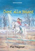 Flisan 4 - ver alla hinder