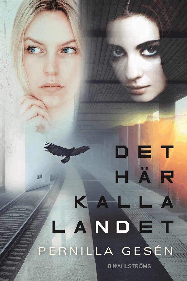 Pernilla Gesén - Det här kalla landet, Kartonnage