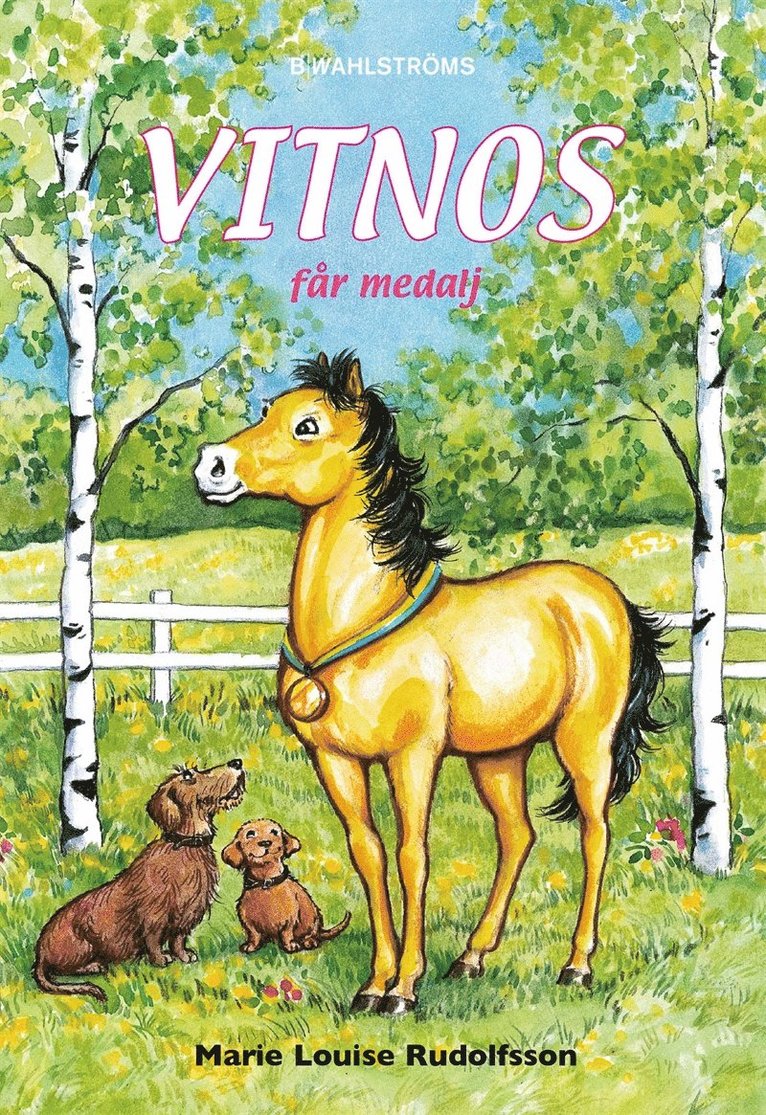 Marie-Louise Rudolfsson - Vitnos 6 - Vitnos får medalj, E-bok
