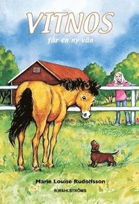 Vitnos f�r en ny v�n