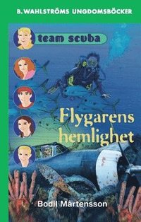 e-Bok Flygarens hemlighet