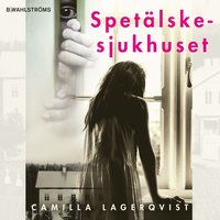 e-Bok Spetälskesjukhuset <br />                        Ljudbok