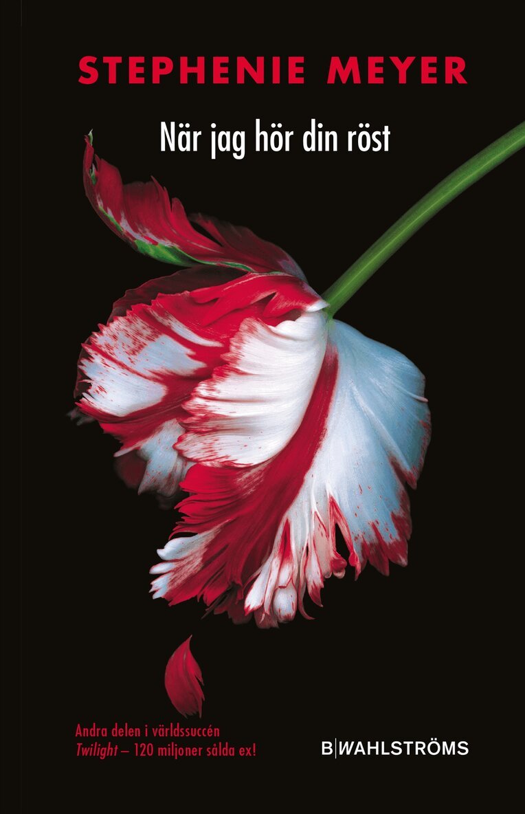 Stephenie Meyer - När jag hör din röst, Pocket