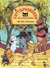 V�r katt i Havanna