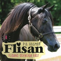 e-Bok Flisans osynliga häst <br />                        Ljudbok