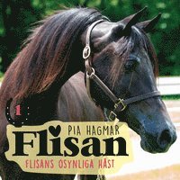 Ladda ner Flisans osynliga häst Ljudbok Pdf epub e Bok Gratis