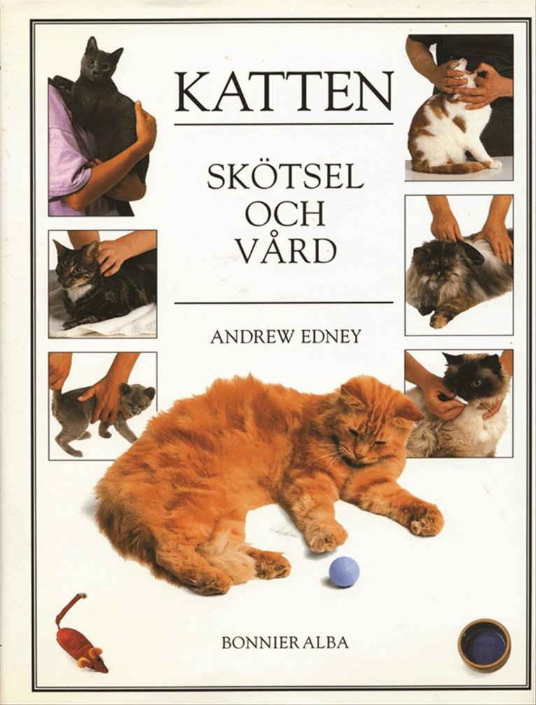 Andrew Edney - Katten - Skötsel och vård, Inbunden
