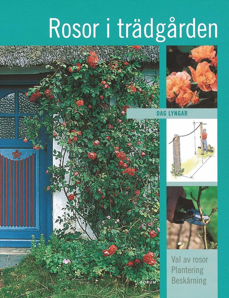 Dag Lyngar - Rosor i trädgården : val av rosor, plantering, beskärning, Kartonnage
