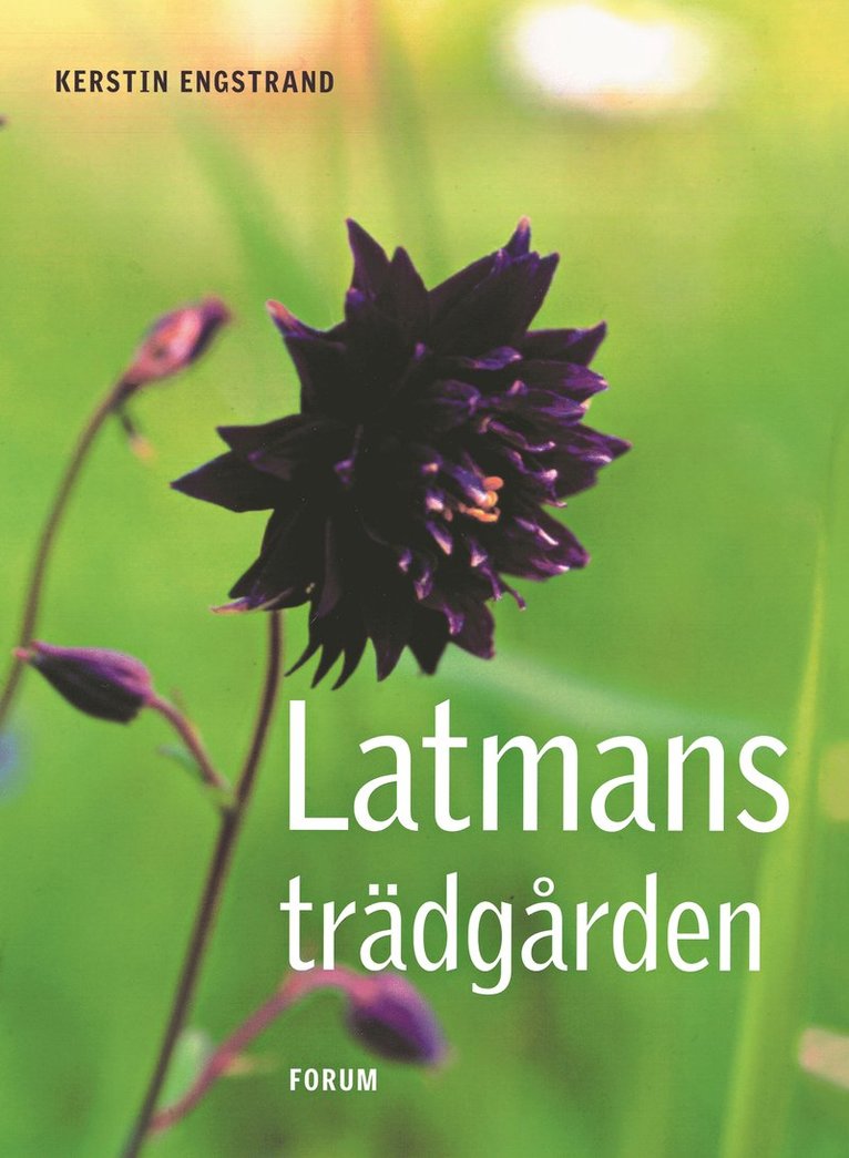 Kerstin Engstrand - Latmansträdgården, Kartonnage