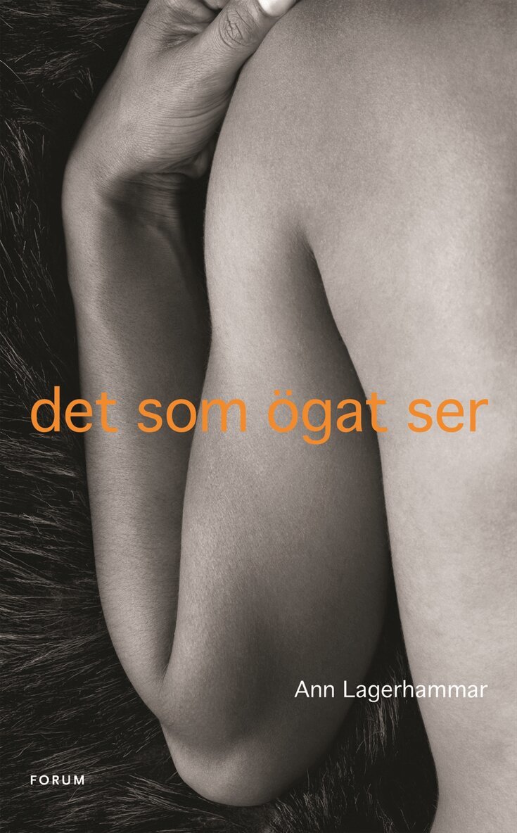 Ann Lagerhammar - Det som ögat ser, Inbunden