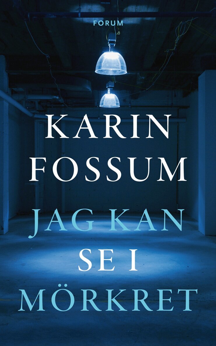 Karin Fossum - Jag kan se i mörkret, Inbunden