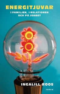 Energitjuvar : I familjen, relationen och p� jobbet