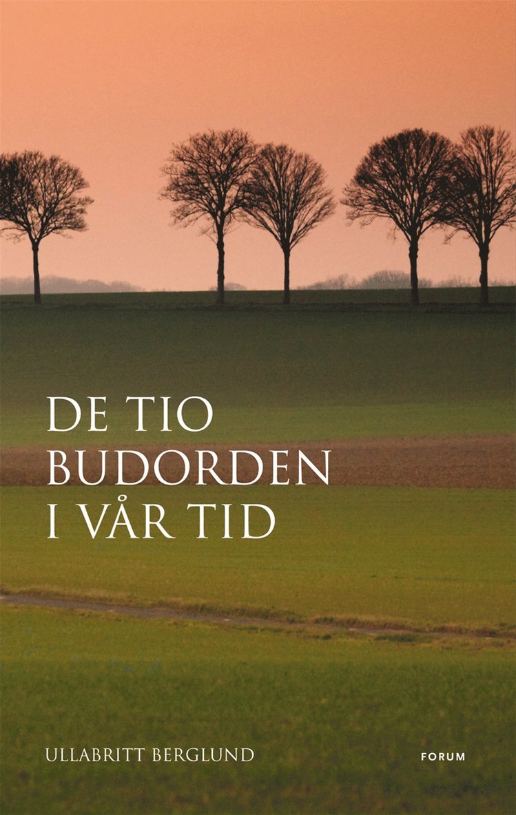 UllaBritt Berglund - De tio budorden i vår tid, E-bok