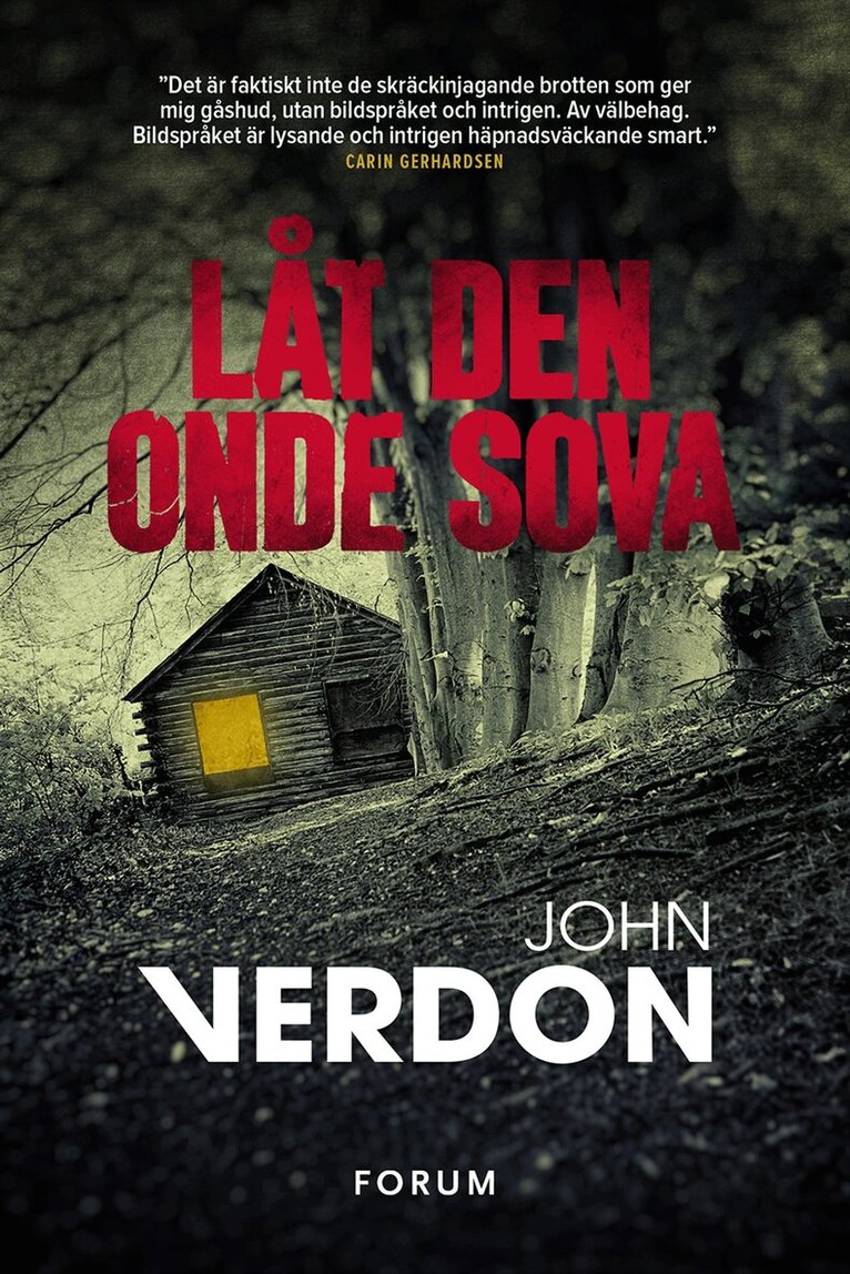 John Verdon - Låt den onde sova, Inbunden
