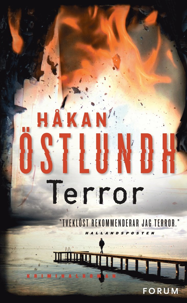 Håkan Östlundh - Terror, E-bok