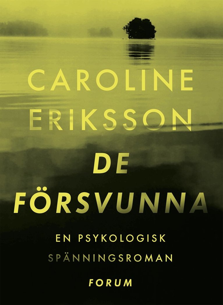 Caroline Eriksson - De försvunna, Inbunden
