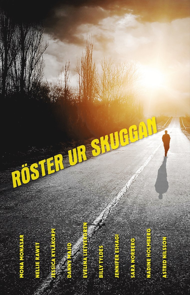 Nadine Holmberg, Billy Tyldes, Jessica Kyläkorpi, Mona Monasar, Evelina Liefvergren, Sara Norberg, Astrid Nilsson, Danny Majid, Nellie Rawet, Jennifer Eshagi - Röster ur skuggan, E-bok