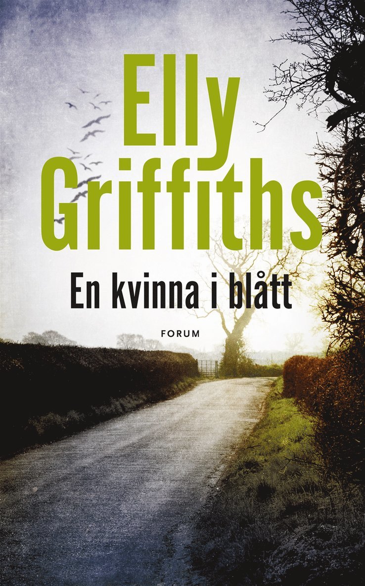 Elly Griffiths - En kvinna i blått, E-bok