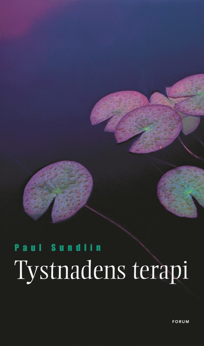 Paul Sundlin - Tystnadens terapi, E-bok