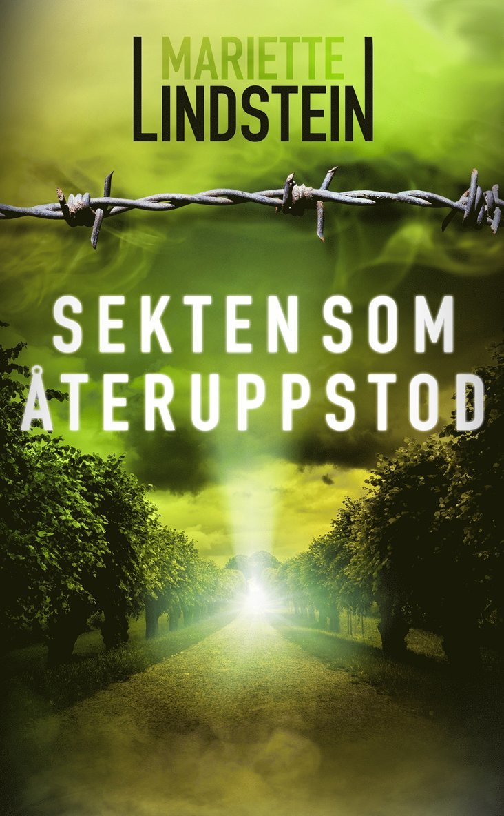 Mariette Lindstein - Sekten som återuppstod, E-bok