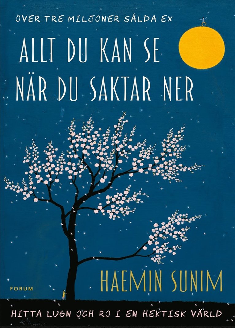 Haemin Sunim - Allt du kan se när du saktar ner : hitta lugn och ro i en hektisk värld, E-bok